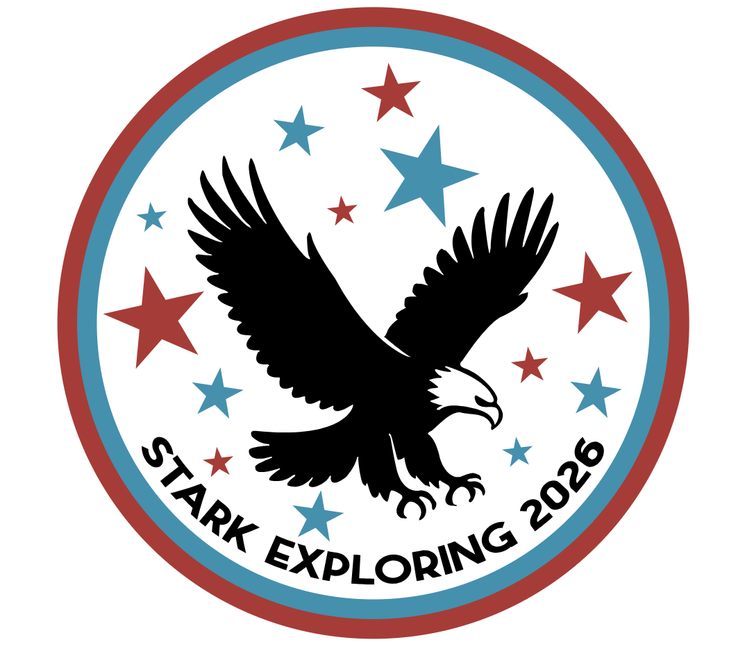 Bald Eagle with talons open wings outstretched with stars around bird